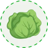 汇聚全球体育赛事精彩 - pg电子新疆站-APP下载