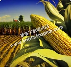 严谨内容，为您呈现最真实的赛场 - pg电子新疆站-APP下载