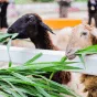 精选提供设备兼容性建议，保障流畅游玩。内容，pg电子新疆站-APP下载与你一同发现更多精彩。 - pg电子新疆站-APP下载